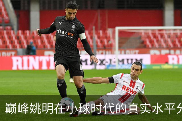 巅峰姚明在小球时代的真实水平分析