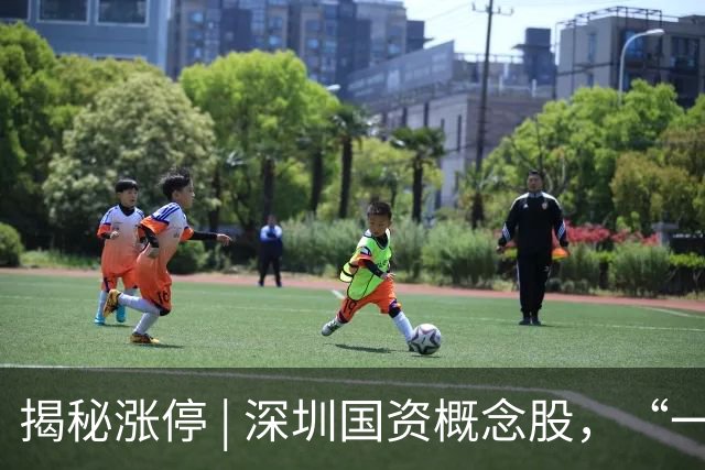 揭秘涨停 | 深圳国资概念股，“一字”涨停