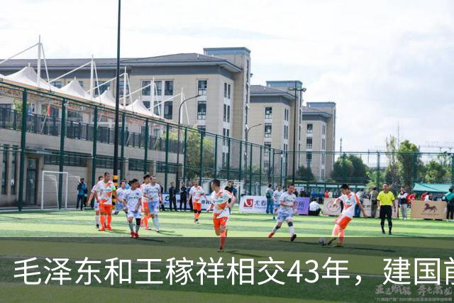 毛泽东和王稼祥相交43年，建国前主席询问：你愿当大使还是部长？
